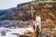 A woman sitting on a rock by the ocean holding a sword.